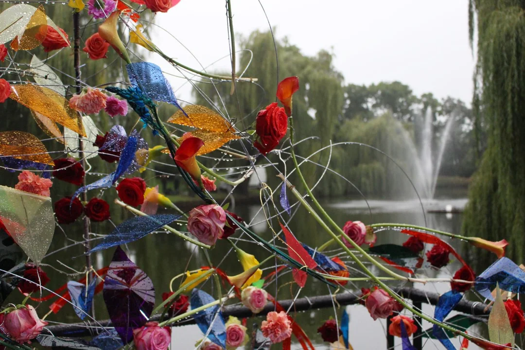 Trwa Święto Róży. Sporo osób odwiedza park Traugutta