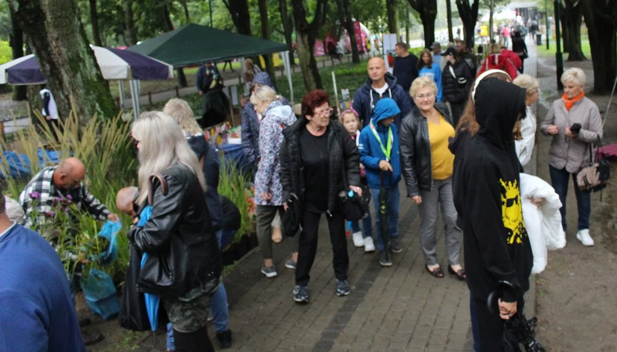 Trwa Święto Róży. Sporo osób odwiedza park Traugutta