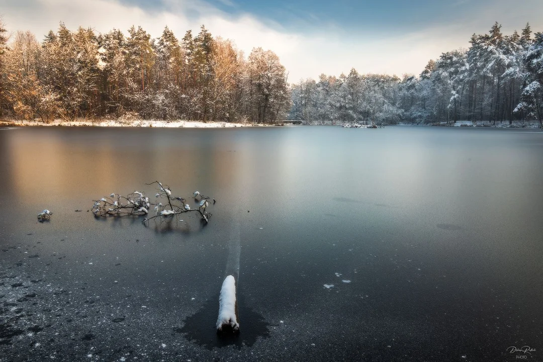 Wernisaż wystawy fotografii Damiana Redlickiego. Zdjęcia zapierają dech w piersiach [galeria]