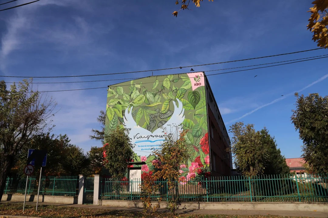 Na kutnowskiej szkole pojawił się efektowny mural. Rzuca się w oczy i spełnia ważną rolę [ZDJĘCIA] - Zdjęcie główne