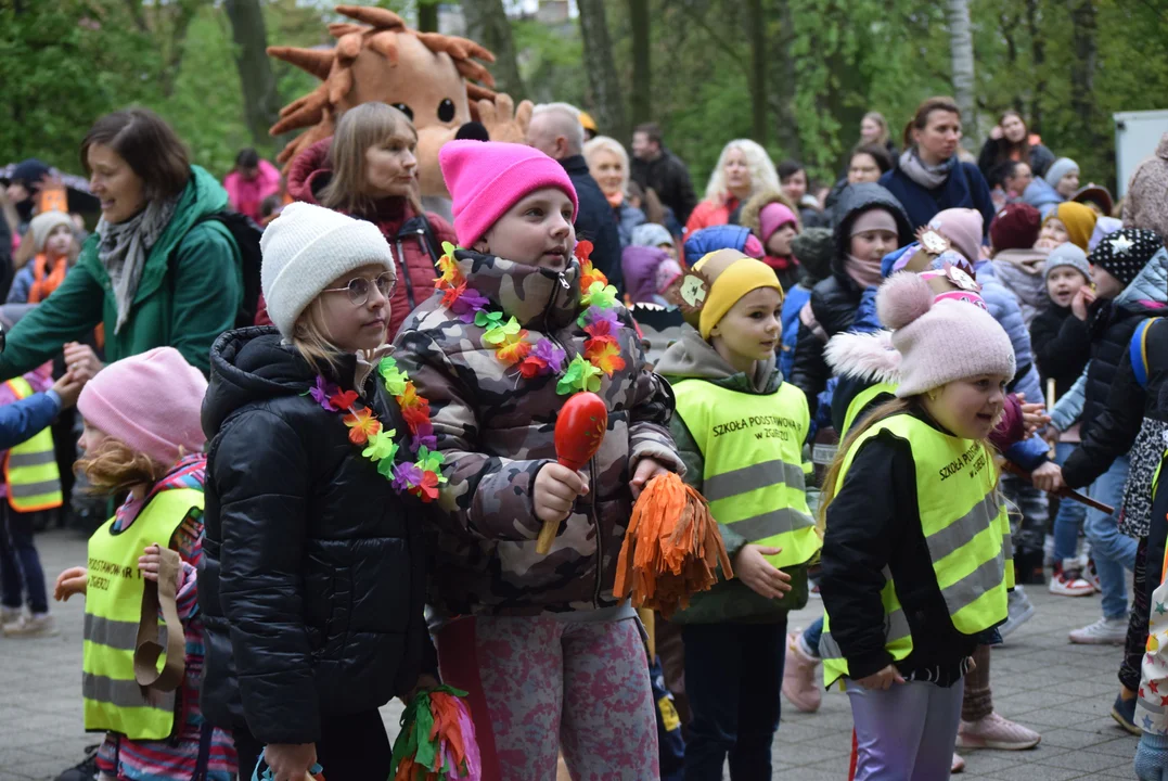 Parada jeży w Zgierzu