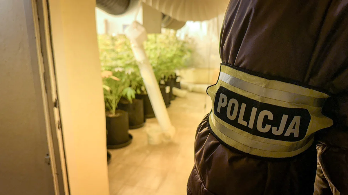 Wokół domu unosił się specyficzny zapach. Co znaleziono na Bałutach?