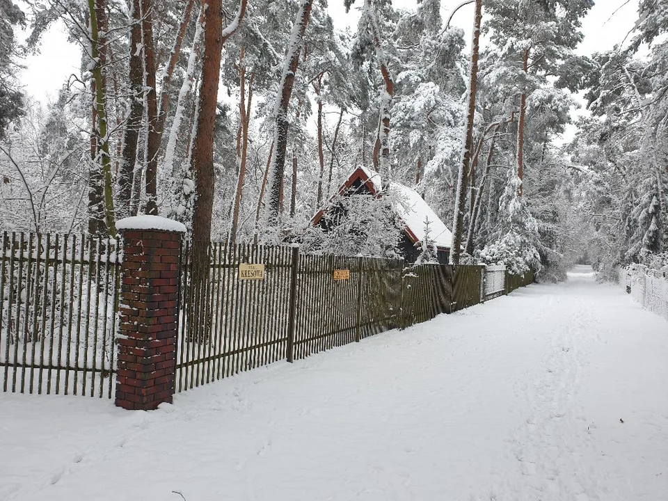 Śnieżna galeria ze Zgierza i Sokolnik-Lasu