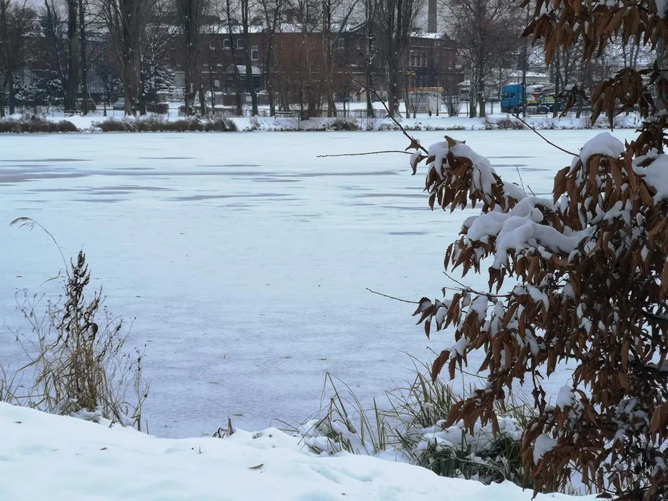 Zima zagościła w Parku Miejskim