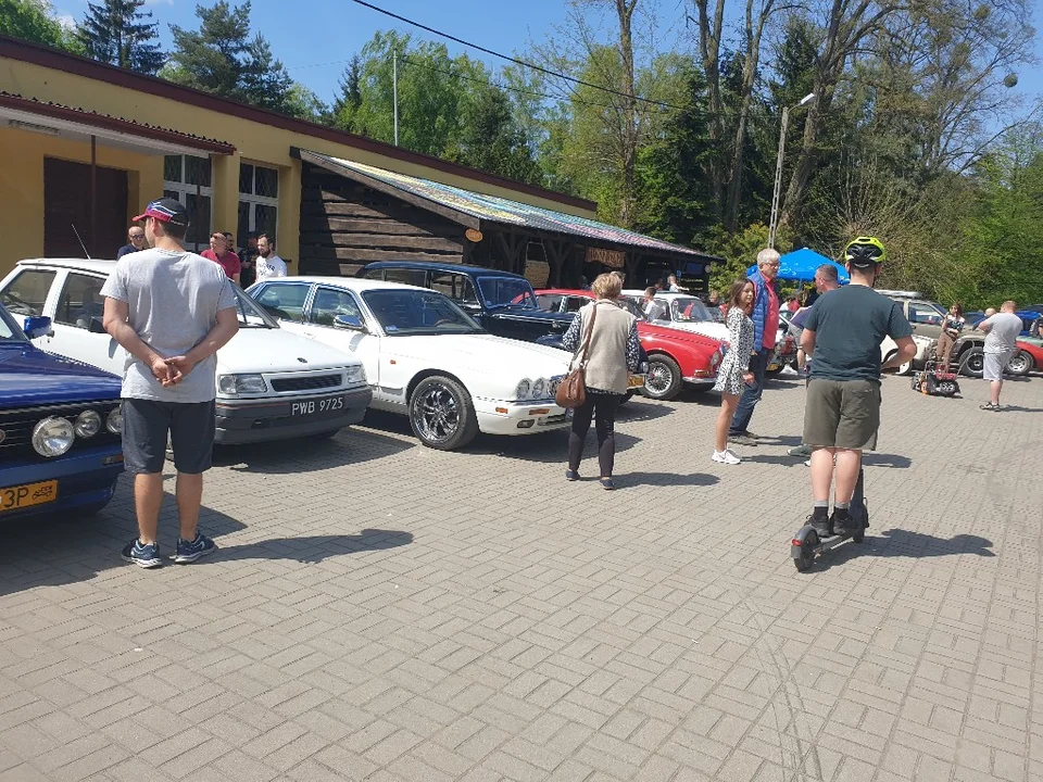 Piknik z klasycznymi samochodami w Sokolnikach-Lesie. Otwarcie sezonu. Te auta robią wrażenie [zdjęcia]