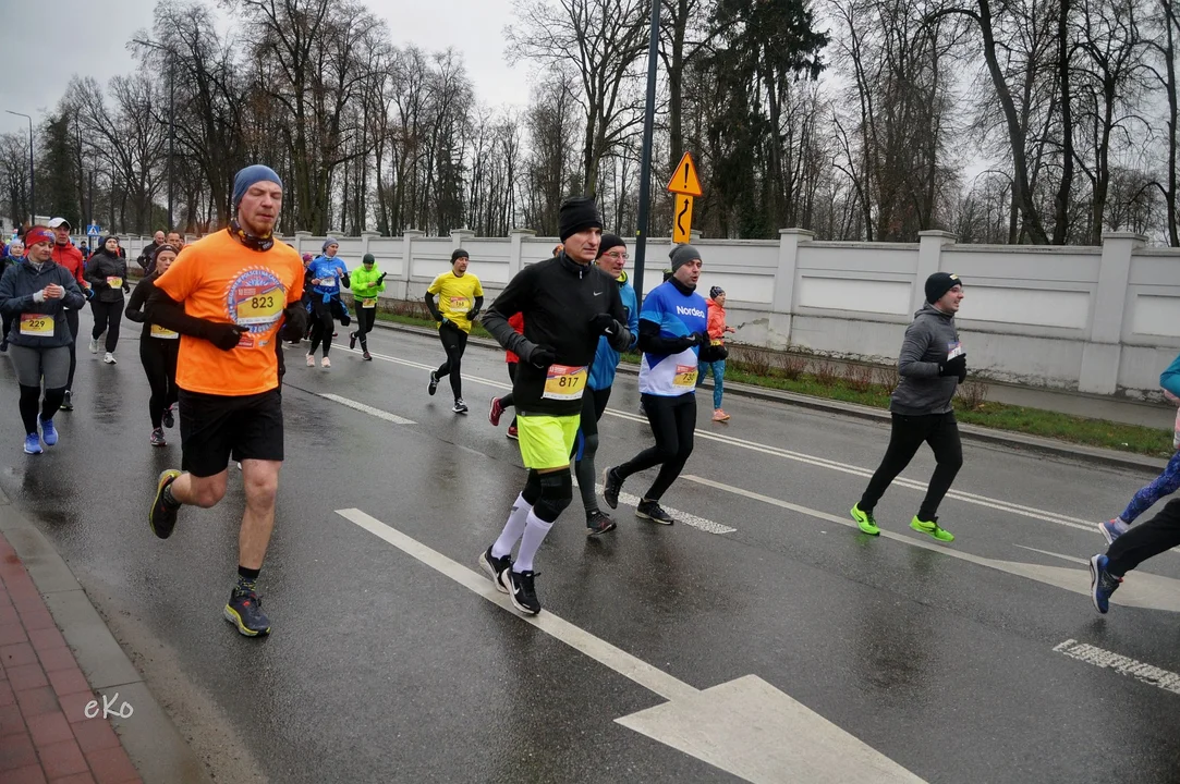 XI Pabianicki Półmaraton