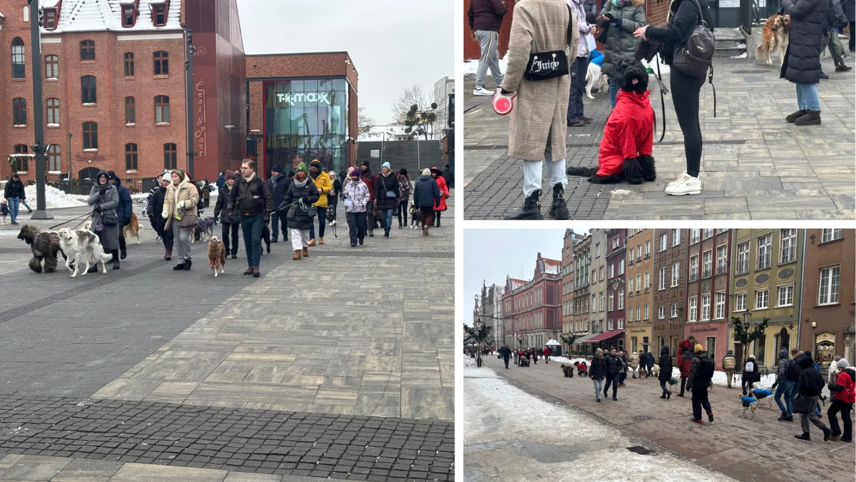 To nie był zwykły spacer. W centrum Gdańska wydarzyło się coś, co łączyło ludzi [FOTO] - Zdjęcie główne