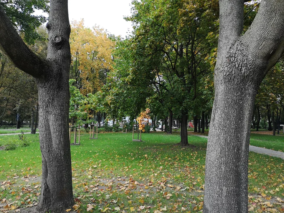 Pierwsze oznaki jesieni w zgierskim parku - zobacz zdjęcia!