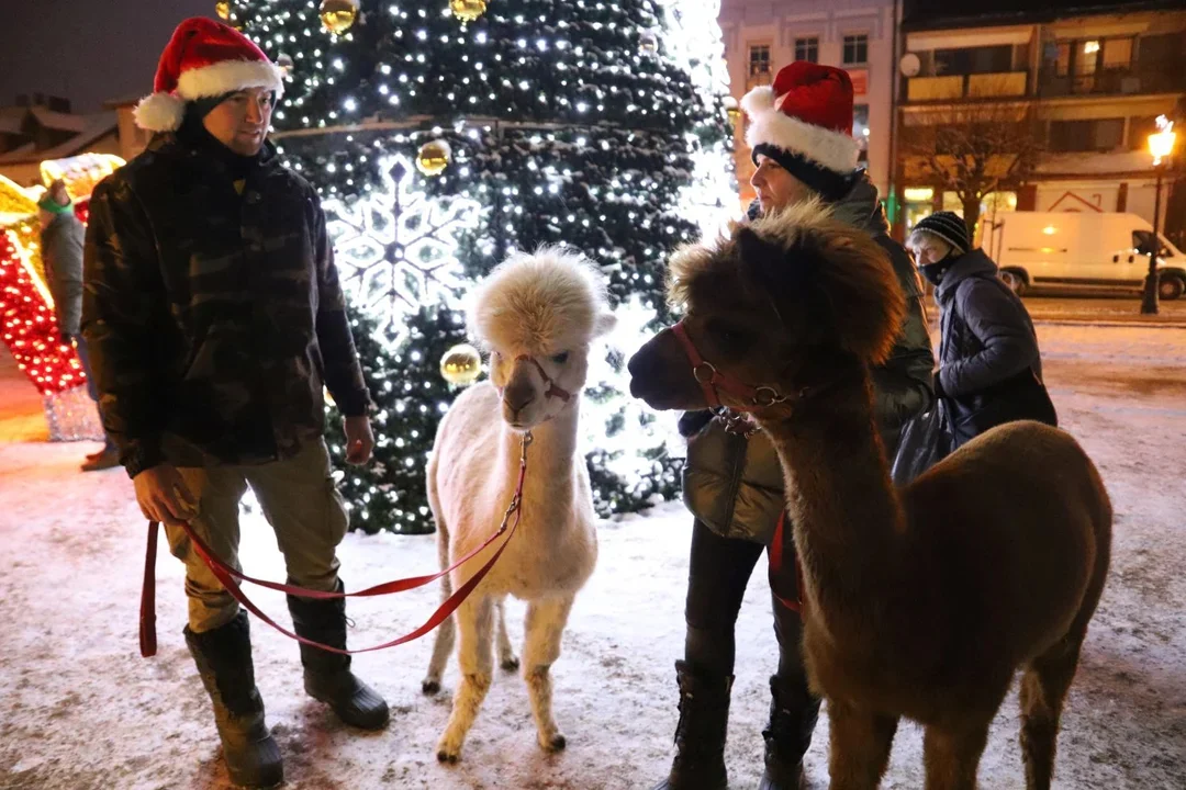 Już dziś (6.12) oficjalne uruchomienie iluminacji świątecznych w Kutnie