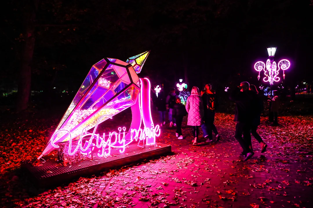 Park Miliona Świateł znów dostępny dla odwiedzających