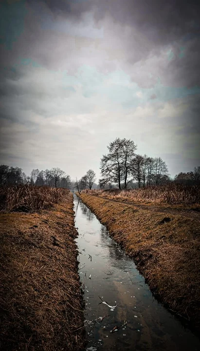 Galeria zdjęć mieszkańców Zgierza