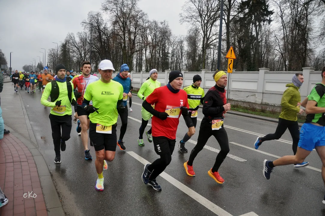 XI Pabianicki Półmaraton