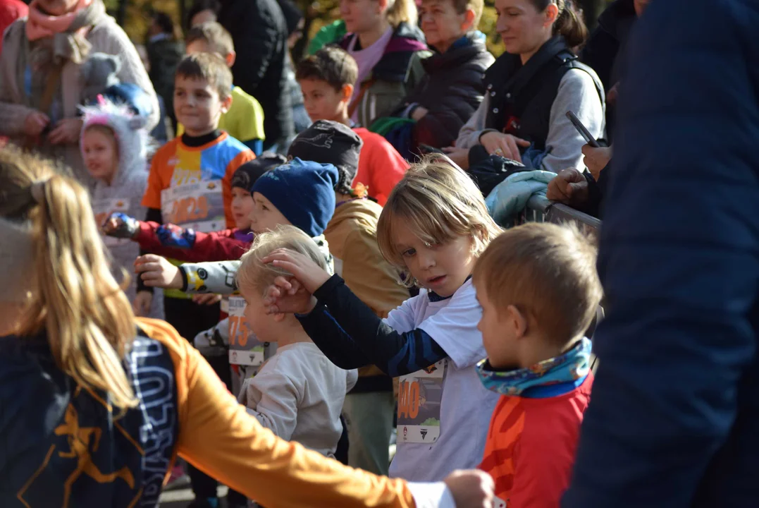 Jesienny Festiwal Szakala