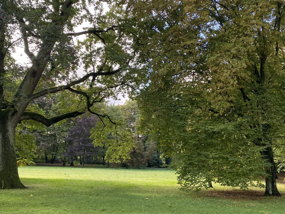 Park Źródliska jesienią