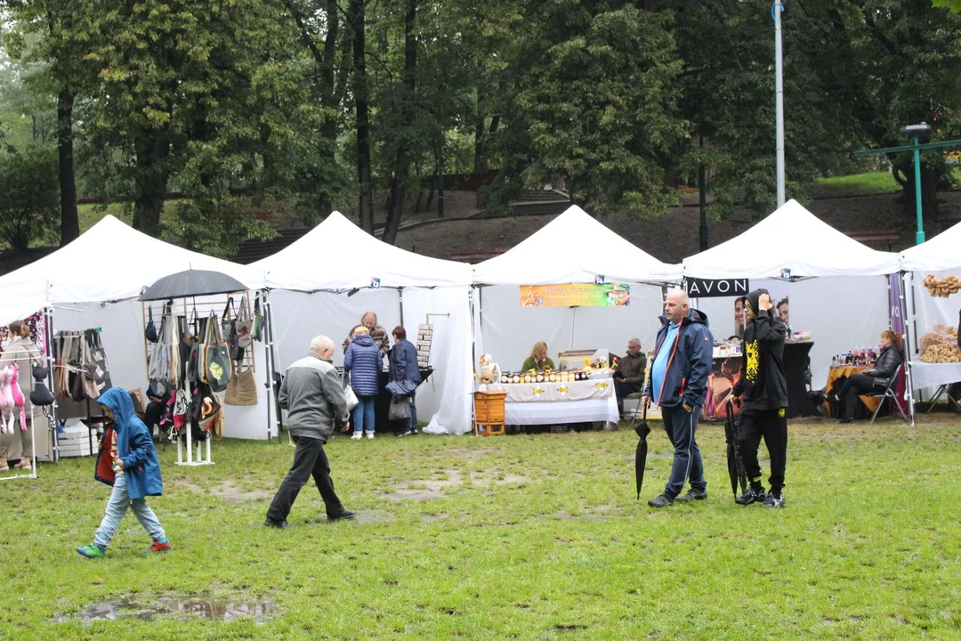 Trwa Święto Róży. Sporo osób odwiedza park Traugutta