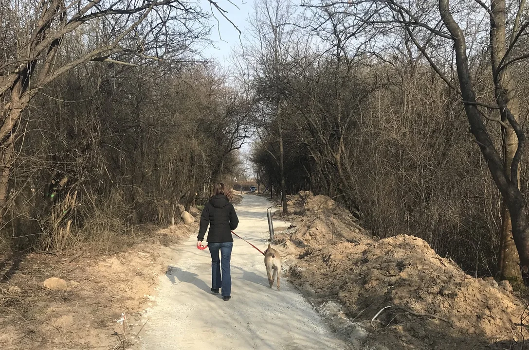 Budowa parku na 3,7 ha w Płocku. Ma być hitem, kiedy będzie gotowy? [ZDJĘCIA]