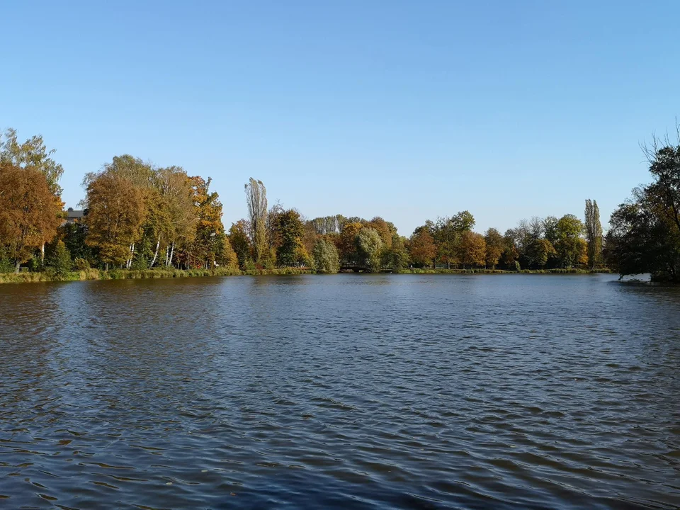 Staw w Parku Miejskim i koryto Bzury przejdą rewitalizację [zdjęcia] - Zdjęcie główne