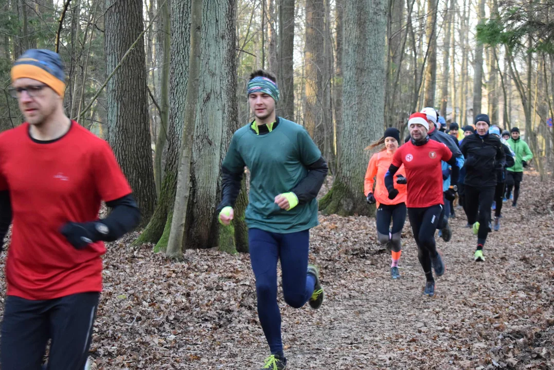 Parkrun w Lesie Łagiewnickim