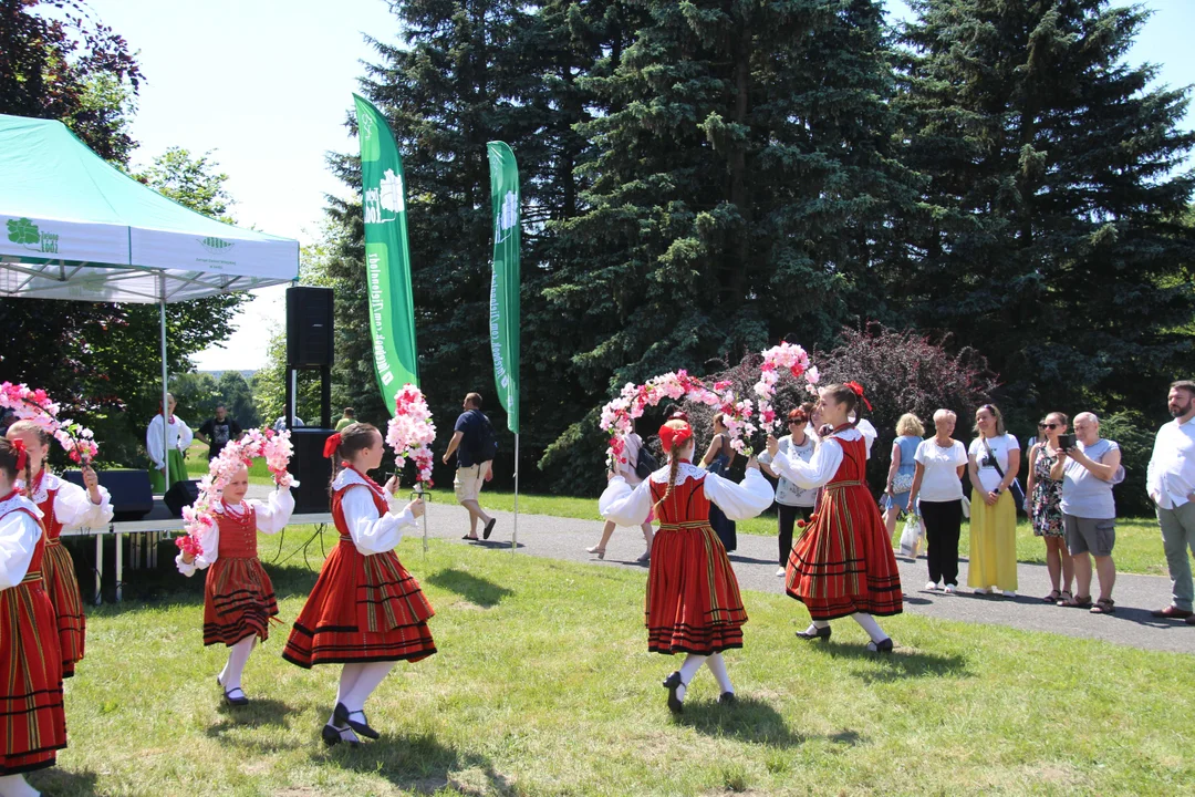 "Majówka w ogrodzie" - Ogród Botaniczny w Łodzi zaprasza na piknik rodzinny