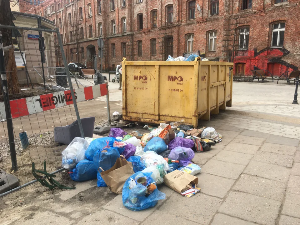 Śmierdzący problem w centrum Łodzi. Mieszkańcy mają dość szczurów i porozrzucanych śmieci [zdjęcia, wideo] - Zdjęcie główne