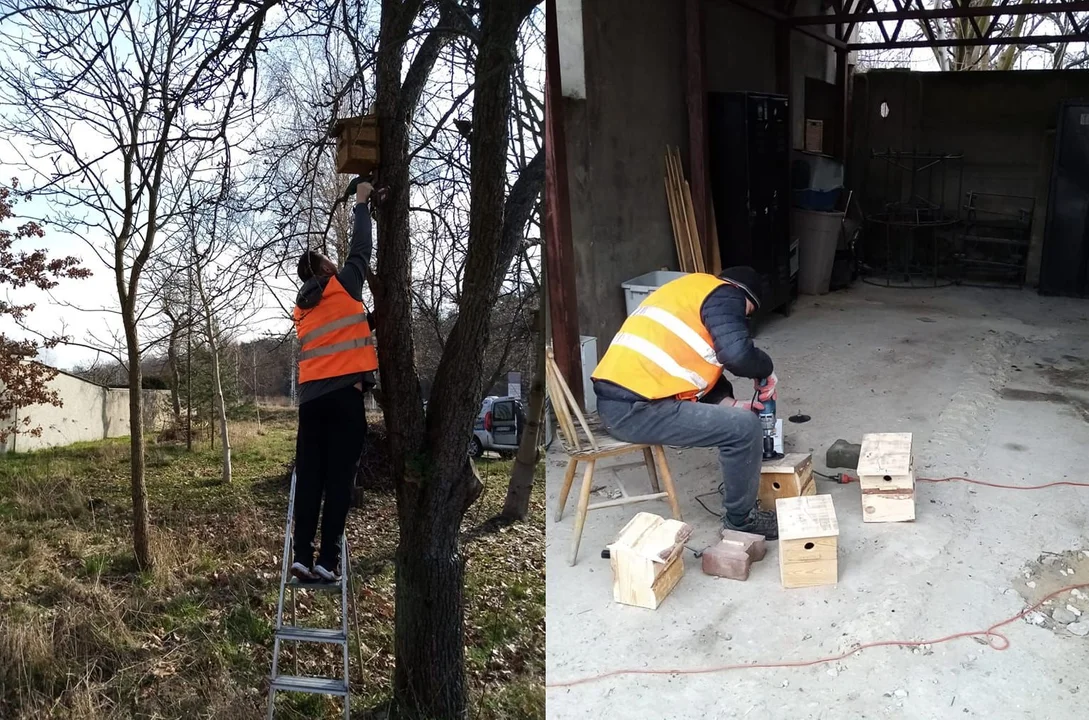 Skazani sprzątają Pabianice, pomagają zwierzętom