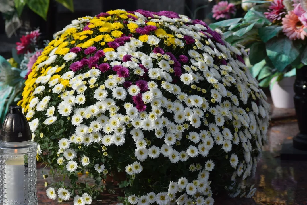 Łodzianie przygotowują groby bliskich do Wszystkich Świętych