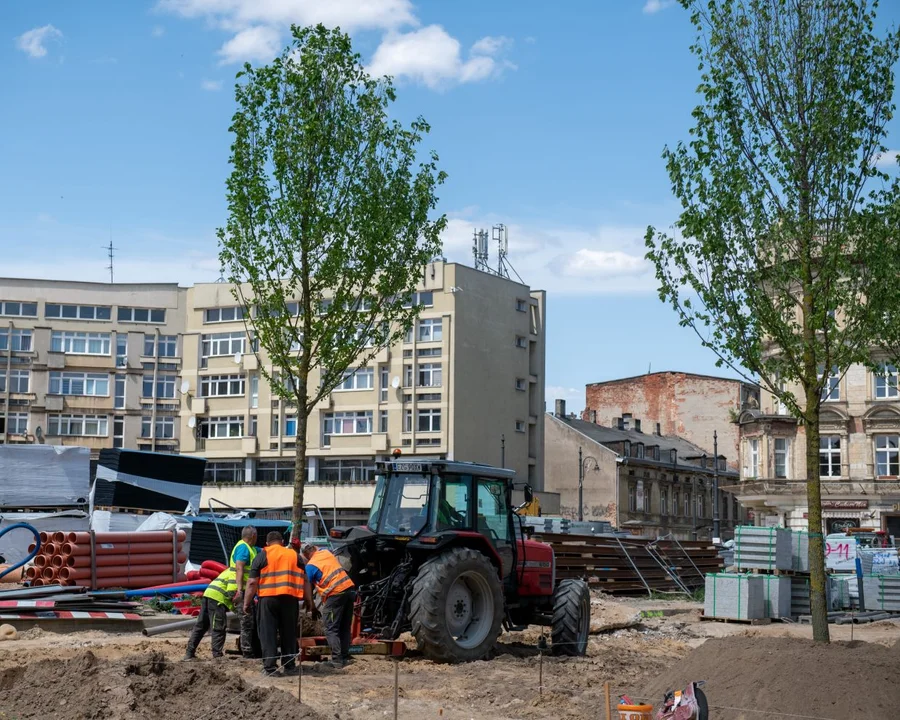 Trwa przedbudowa łódzkiego pl. Wolności. Pojawiły się już na nim pierwsze drzewa