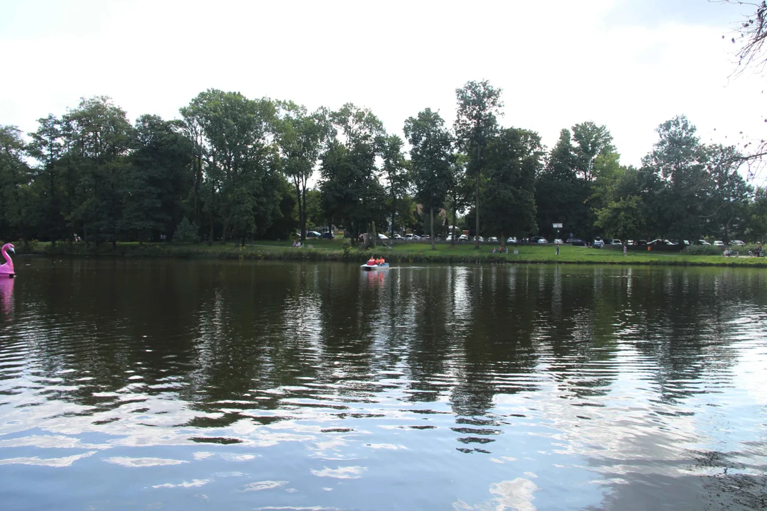 Piknik rodzinny w parku na Młynku w Łodzi