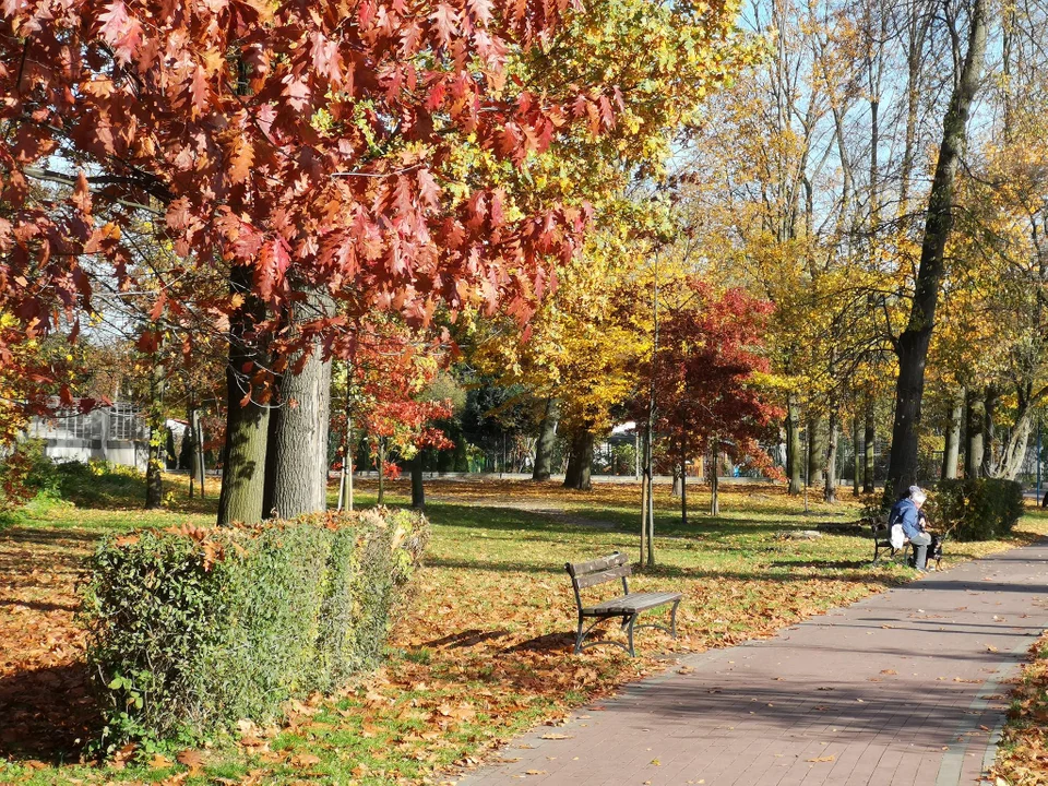 Zgierzanie korzystają z pięknej jesiennej pogody