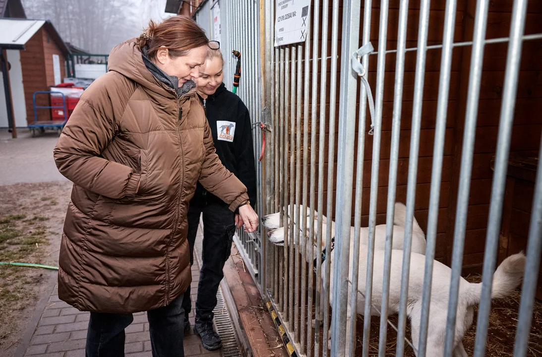 Trzy tony prezentów dla schronisk w Łódzkiem, 27.12.2024 r.