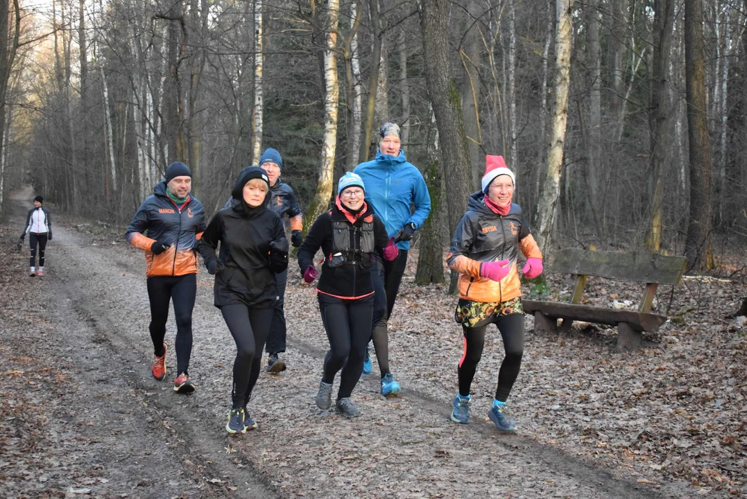 Parkrun w Lesie Łagiewnickim