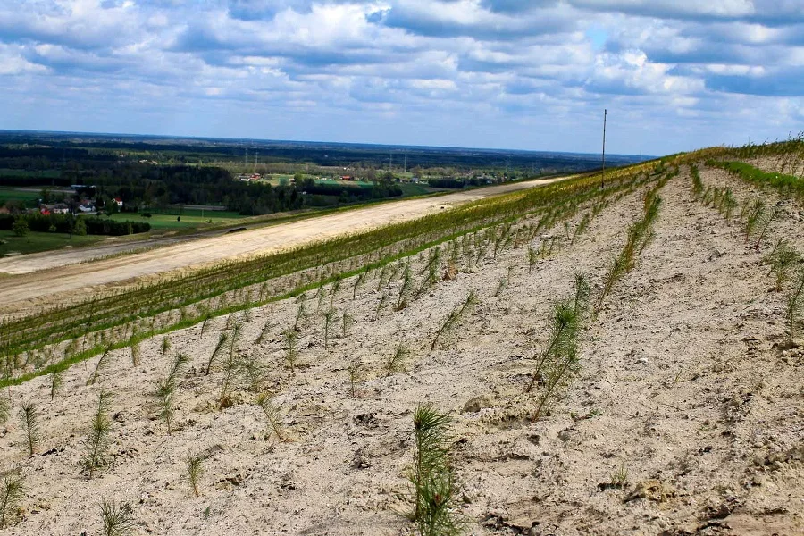 Powstaje druga sztuczna góra koło Bełchatowa. PGE posadziło 365 tys. drzew - Zdjęcie główne