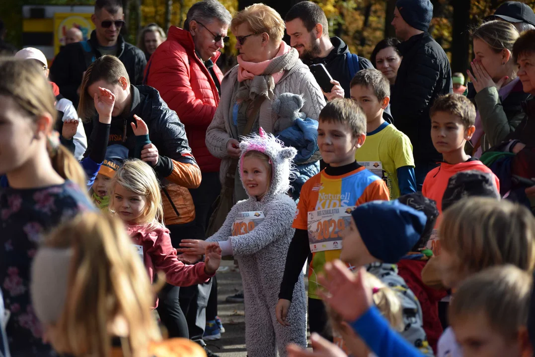 Jesienny Festiwal Szakala