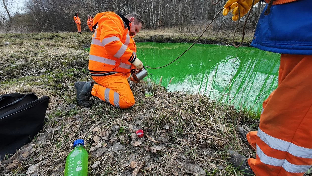 Zielona Olechówka w Łodzi