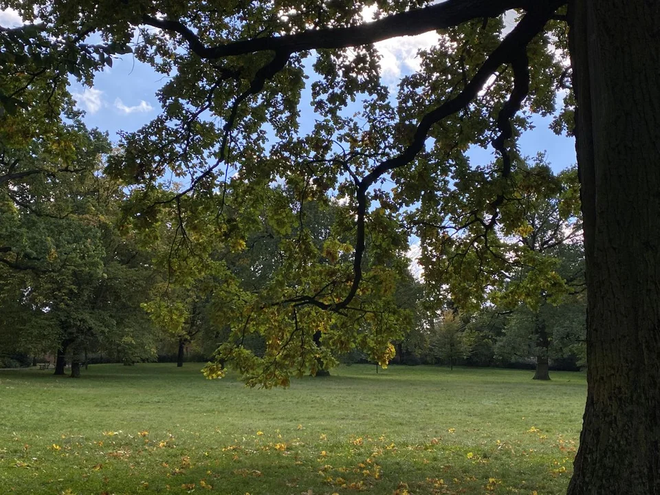 Park Źródliska jesienią