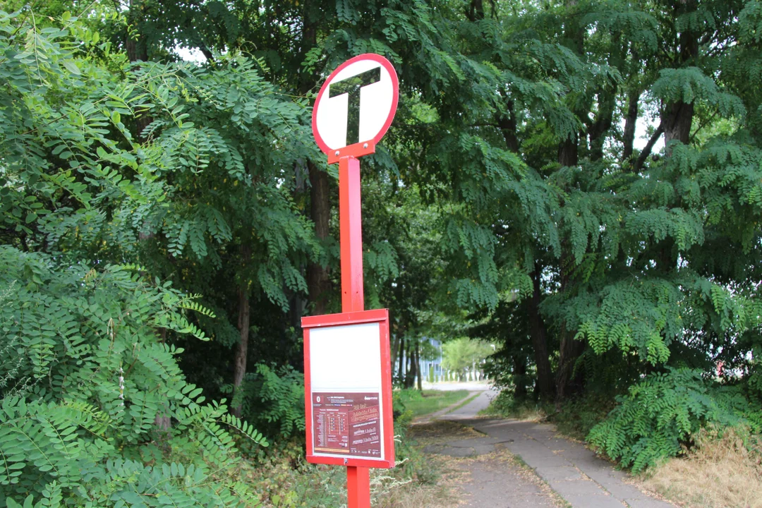 Zabytkowe tramwaje na łódzkich ulicach