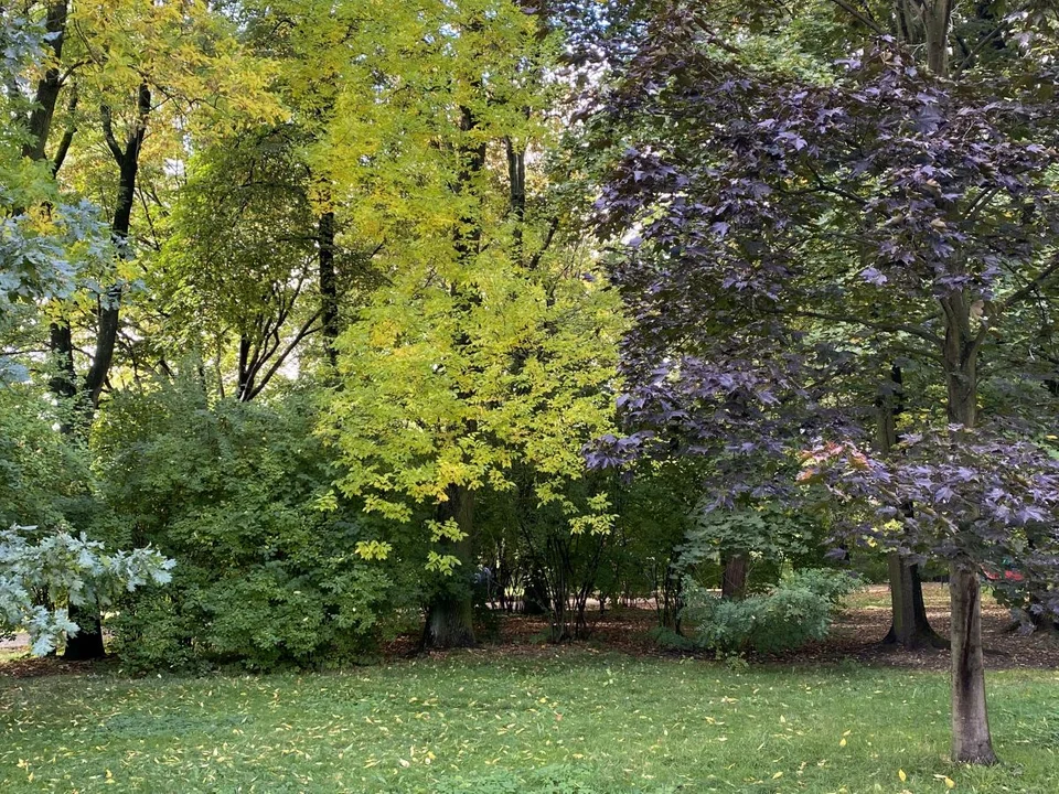 Park Źródliska jesienią