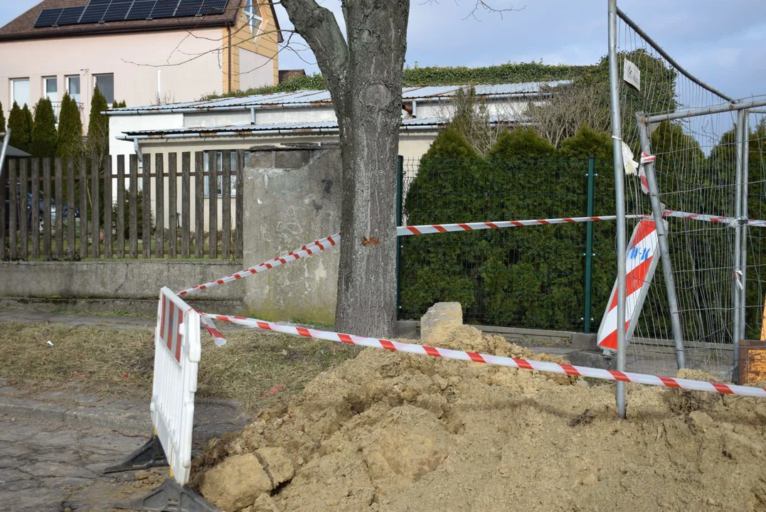 Z ulicy Fijałkowskiego w Zgierzu  znikną drzewa