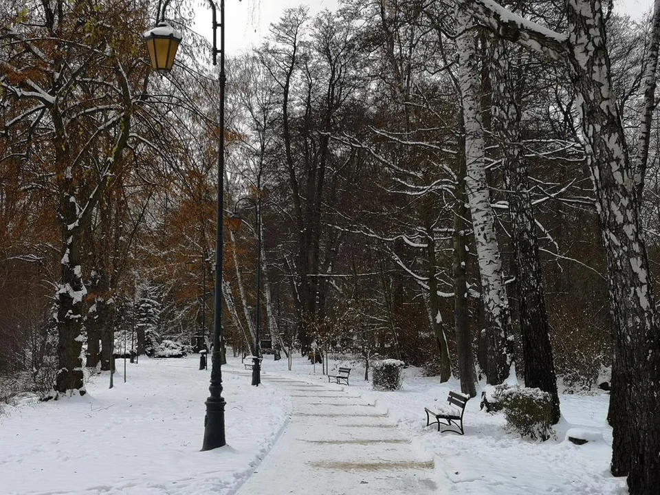 Zima zagościła w Parku Miejskim