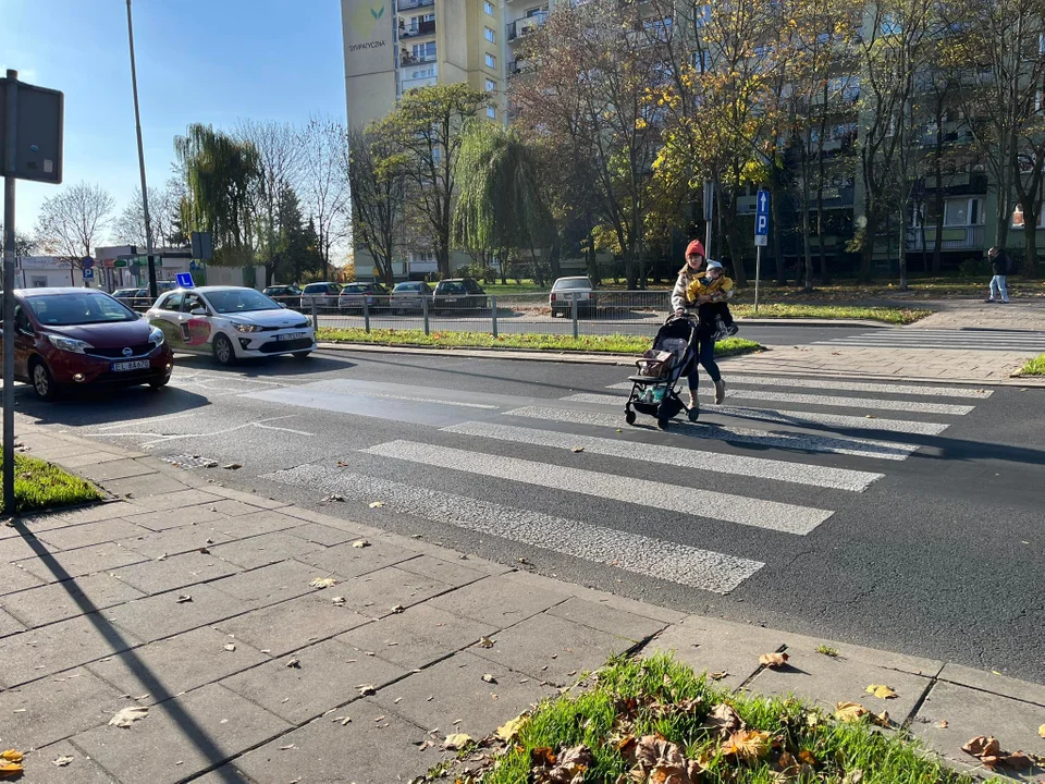 Kierujący pojazdami zawsze muszą ustąpić pierwszeństwa pieszym. Co na to łodzianie?