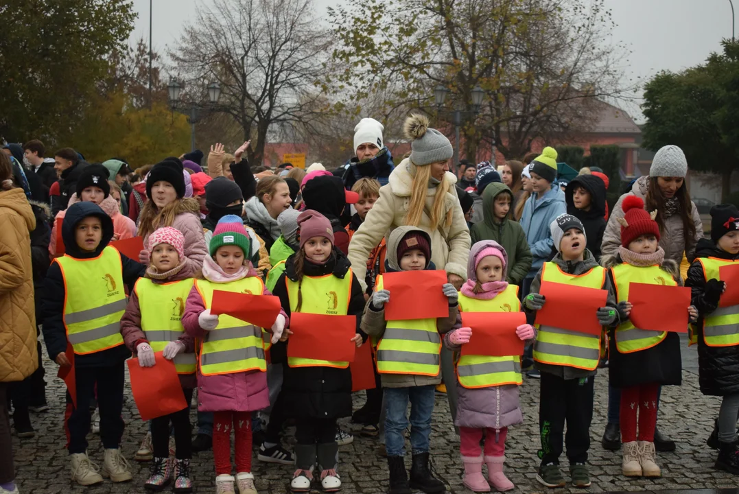 „Żywa flaga” na pl. Jana Pawła II. Zgierscy uczniowie uczcili rocznicę odzyskania niepodległości [ZDJĘCIA] - Zdjęcie główne