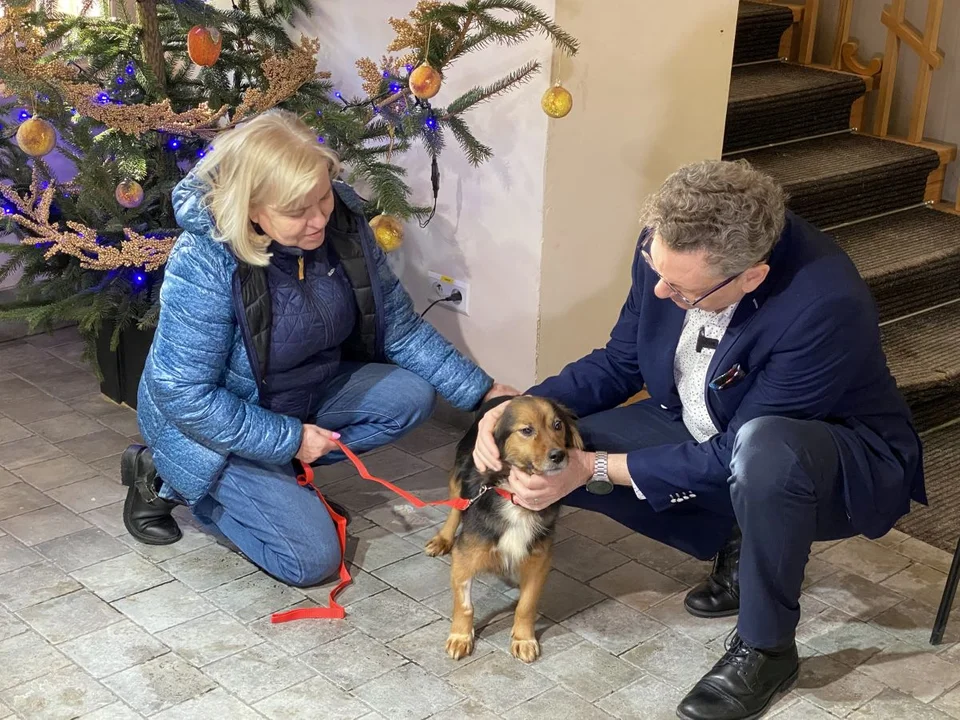 Ośmioletnia Kesa zamieszkała w aleksandrowskim urzędzie