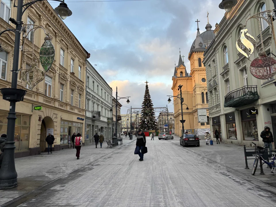 Choinka na placu Wolności w Łodzi już gotowa na Boże Narodzenie