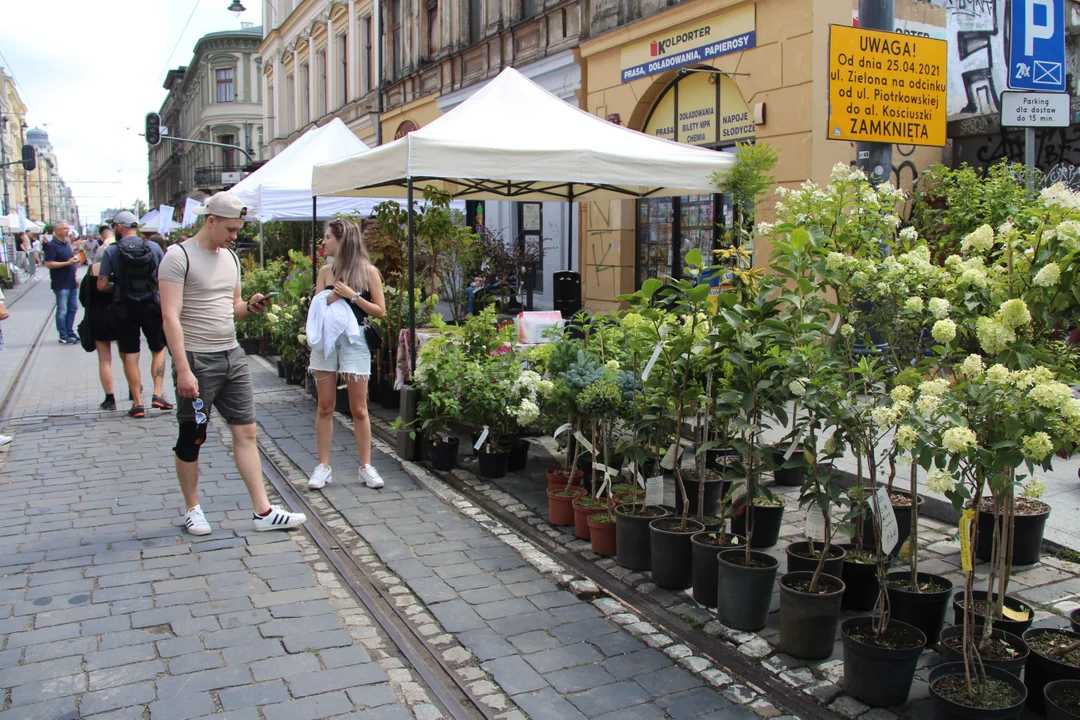 Huczne urodziny Łodzi na ul. Piotrkowskiej