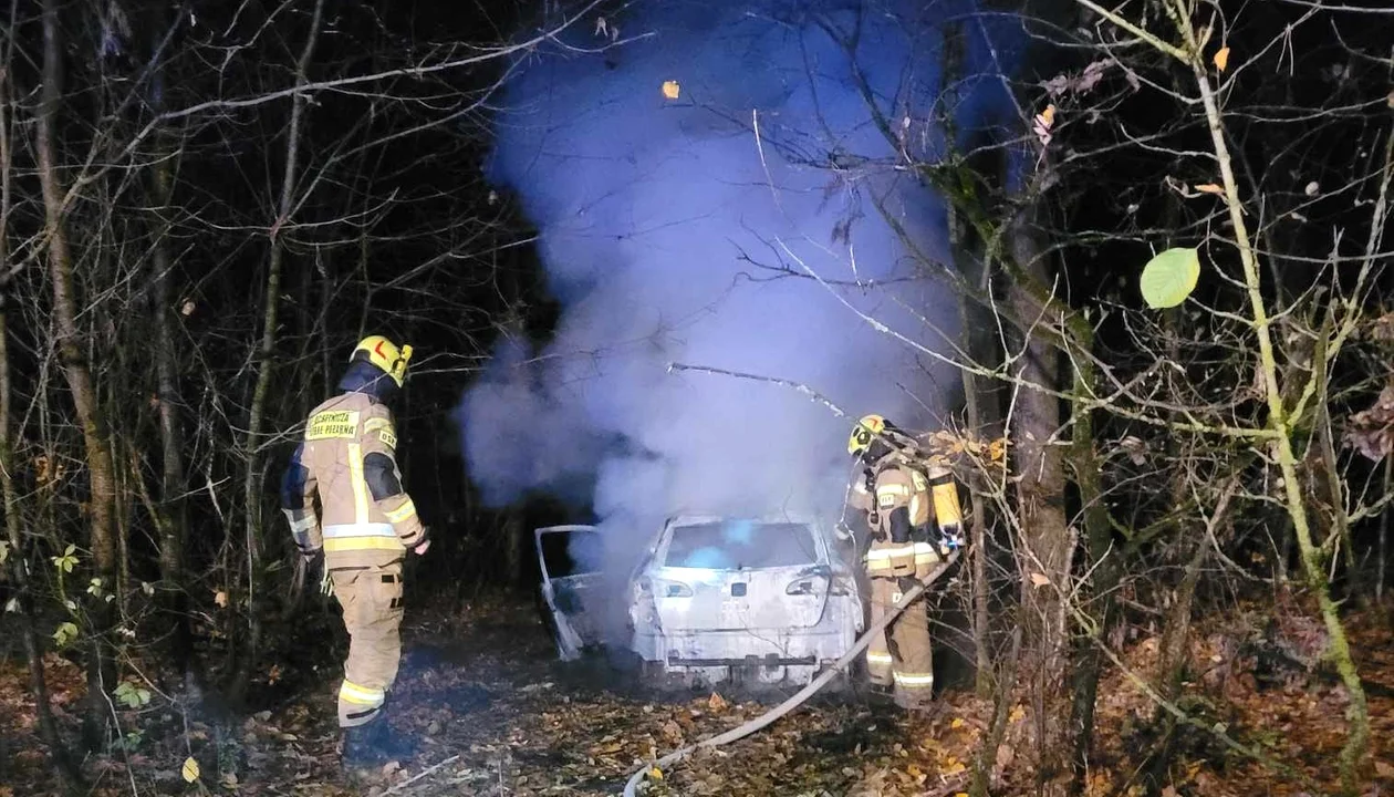 Nocny pożar samochodu w powiecie płockim [ZDJĘCIA] - Zdjęcie główne