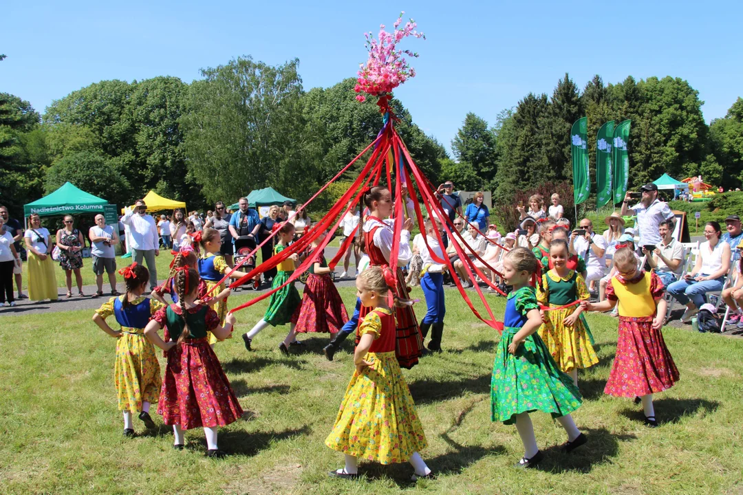 "Majówka w ogrodzie" - Ogród Botaniczny w Łodzi zaprasza na piknik rodzinny