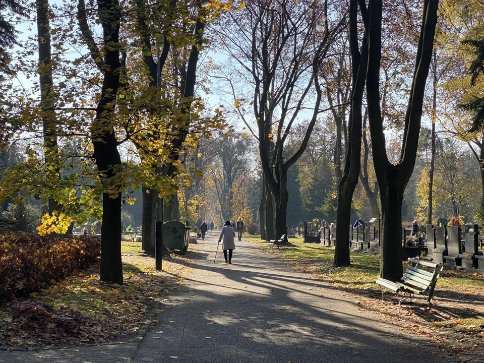 Grób Sylwii Kurzeli w Alei Zasłużonych cmentarza na Dołach