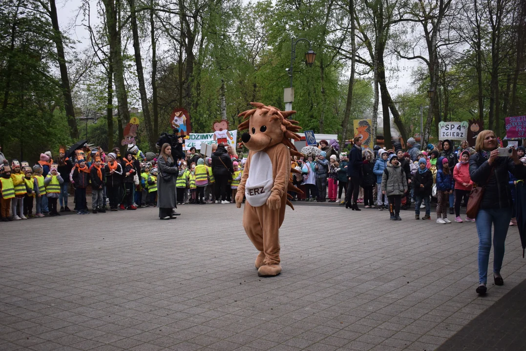 Parada jeży w Zgierzu