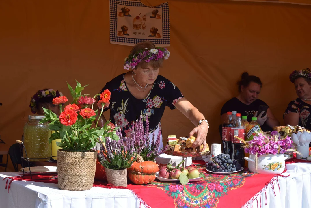 Dożynki gminy Stryków w Warszewicach