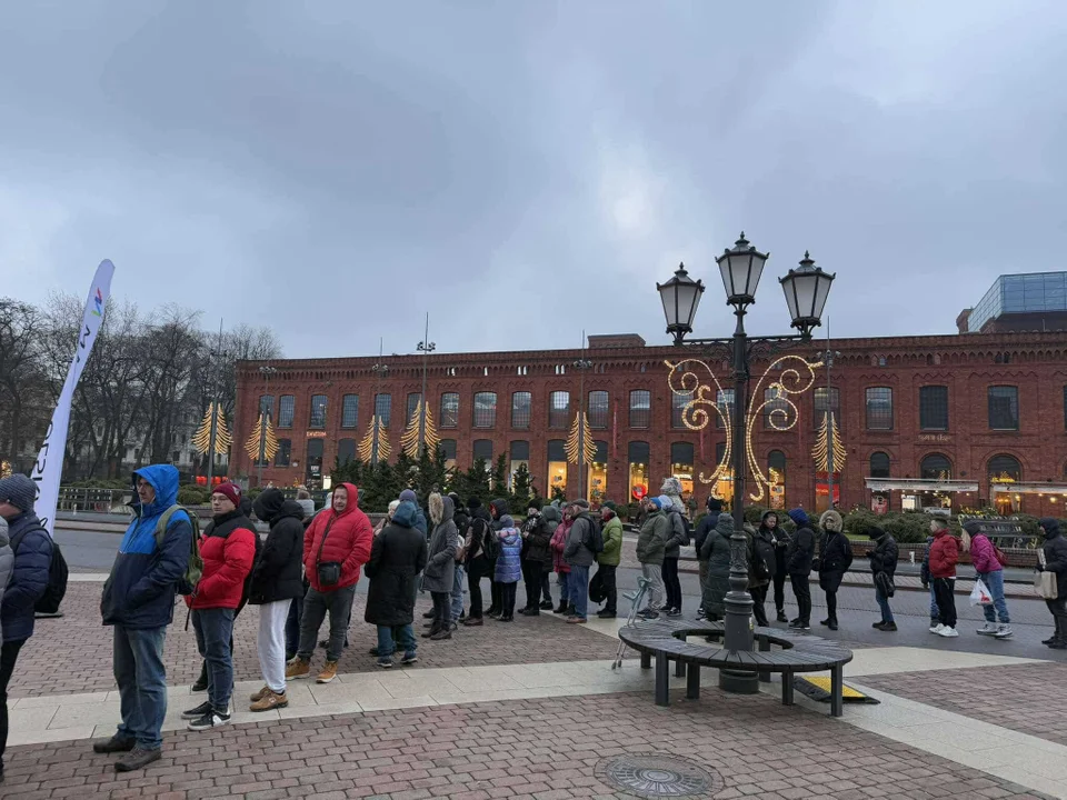 Choinka pod choinkę. Małopolska akcja w Manufakturze, 11.12.2024 r.